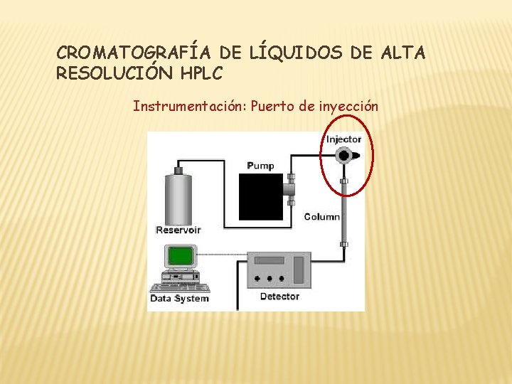 CROMATOGRAFÍA DE LÍQUIDOS DE ALTA RESOLUCIÓN HPLC Instrumentación: Puerto de inyección 