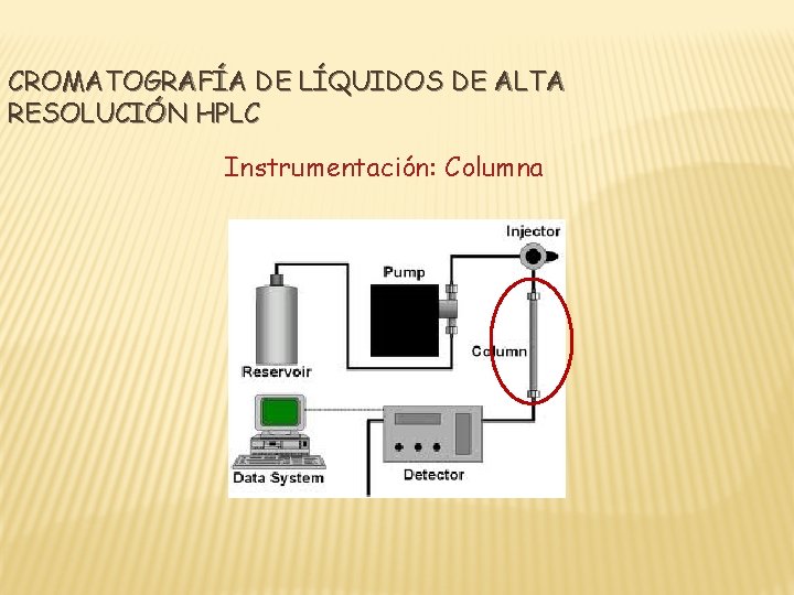 CROMATOGRAFÍA DE LÍQUIDOS DE ALTA RESOLUCIÓN HPLC Instrumentación: Columna 