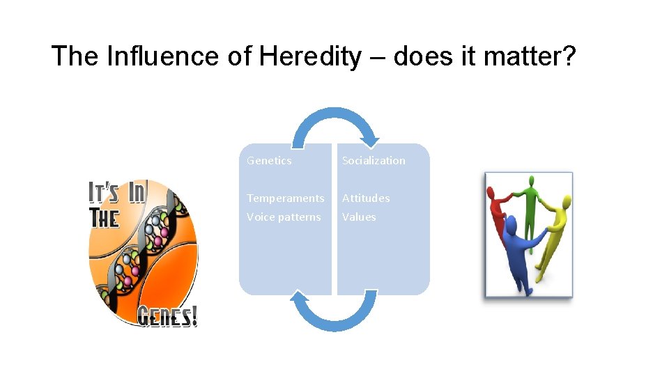 The Influence of Heredity – does it matter? Genetics Socialization Temperaments Voice patterns Attitudes