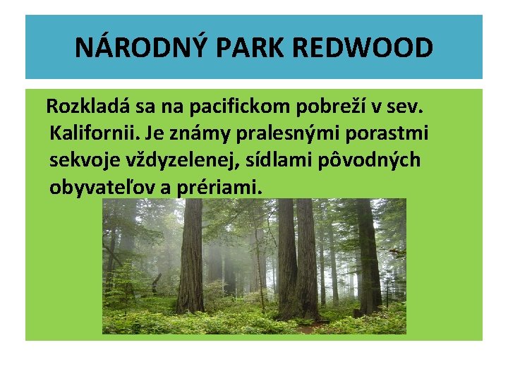 NÁRODNÝ PARK REDWOOD Rozkladá sa na pacifickom pobreží v sev. Kalifornii. Je známy pralesnými