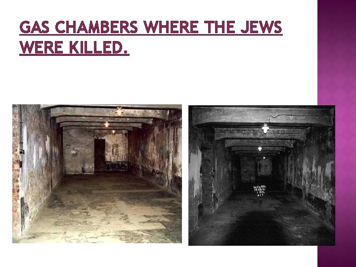 GAS CHAMBERS WHERE THE JEWS WERE KILLED. 