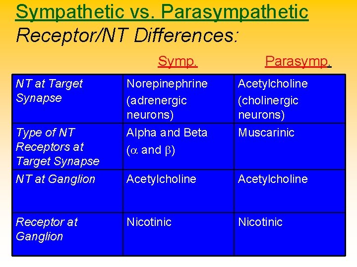 Sympathetic vs. Parasympathetic Receptor/NT Differences: Symp. NT at Target Synapse Type of NT Receptors