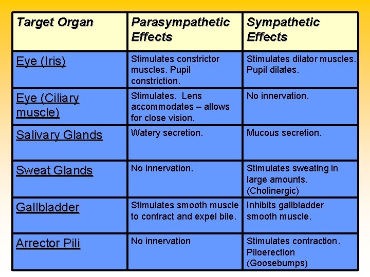 Target Organ Parasympathetic Effects Sympathetic Effects Eye (Iris) Stimulates constrictor muscles. Pupil constriction. Stimulates