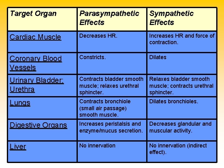 Target Organ Parasympathetic Effects Sympathetic Effects Cardiac Muscle Decreases HR. Increases HR and force