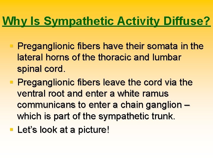 Why Is Sympathetic Activity Diffuse? § Preganglionic fibers have their somata in the lateral