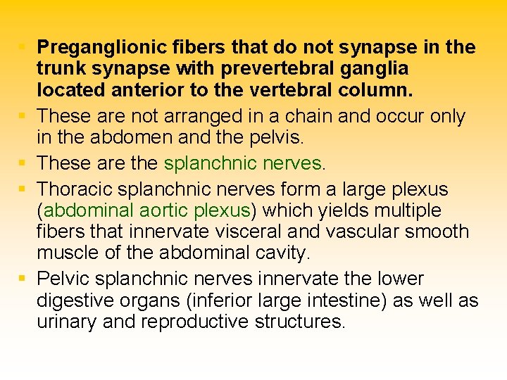 § Preganglionic fibers that do not synapse in the trunk synapse with prevertebral ganglia