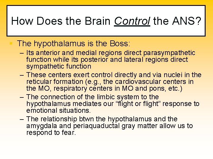 How Does the Brain Control the ANS? § The hypothalamus is the Boss: –