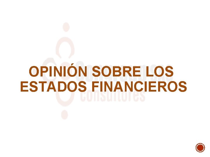 OPINIÓN SOBRE LOS ESTADOS FINANCIEROS 