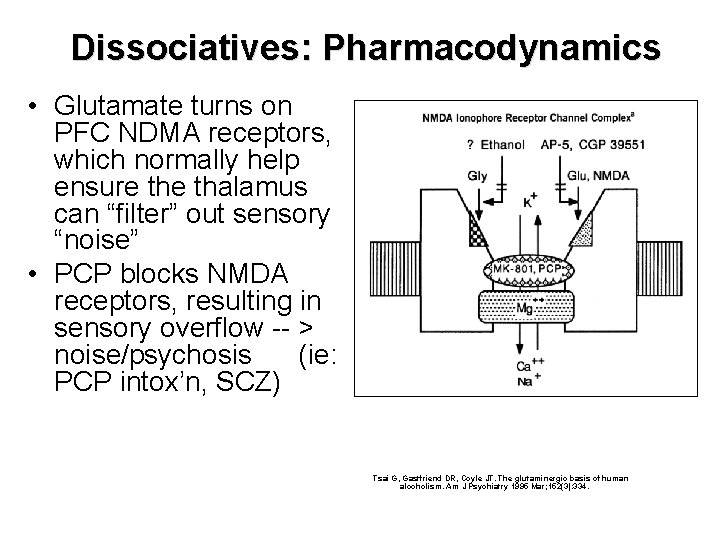 Dissociatives: Pharmacodynamics • Glutamate turns on PFC NDMA receptors, which normally help ensure thalamus Dissociatives: Pharmacodynamics • Glutamate turns on PFC NDMA receptors, which normally help ensure thalamus