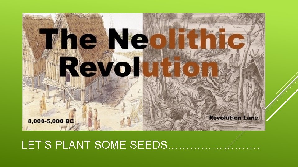 LET’S PLANT SOME SEEDS…………. 