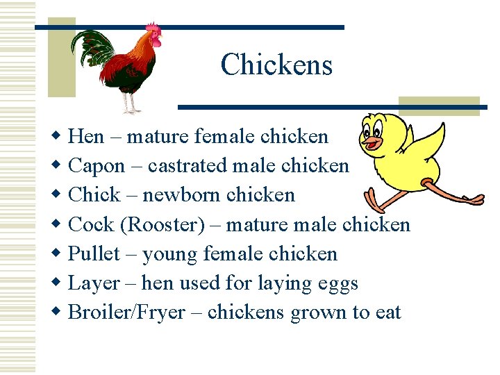 Chickens w Hen – mature female chicken w Capon – castrated male chicken w