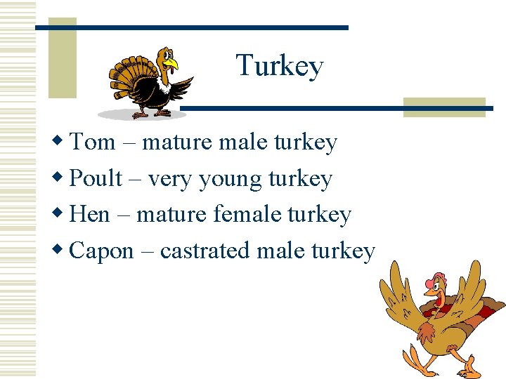 Turkey w Tom – mature male turkey w Poult – very young turkey w