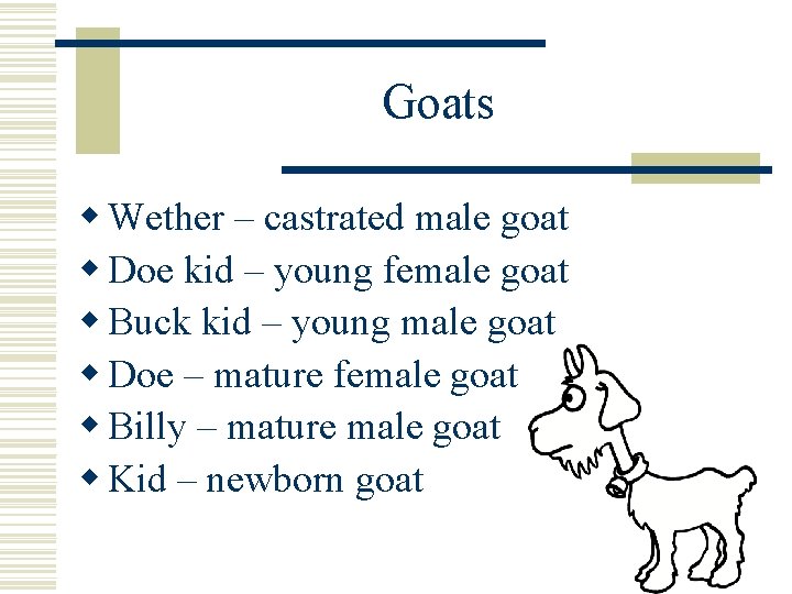 Goats w Wether – castrated male goat w Doe kid – young female goat