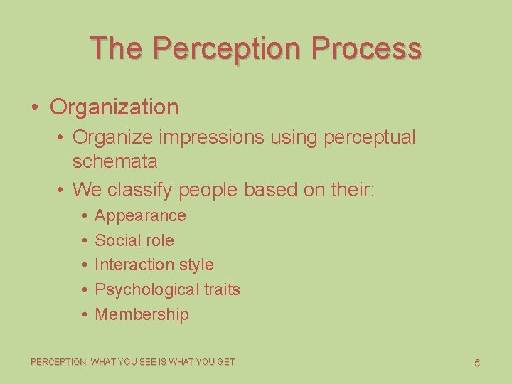 The Perception Process • Organization • Organize impressions using perceptual schemata • We classify