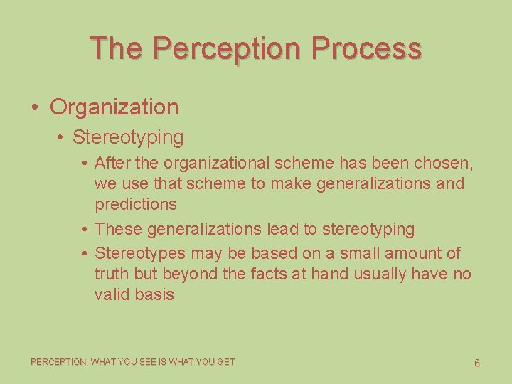 The Perception Process • Organization • Stereotyping • After the organizational scheme has been