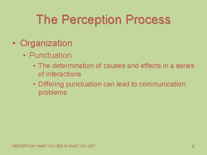 The Perception Process • Organization • Punctuation • The determination of causes and effects