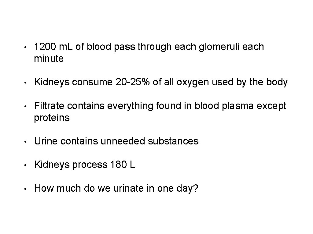  • 1200 m. L of blood pass through each glomeruli each minute •