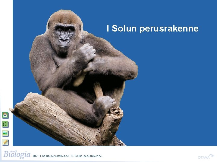 Solun perusrakenne I Solun perusrakenne BI 2 • I Solun perusrakenne • 2. Solun