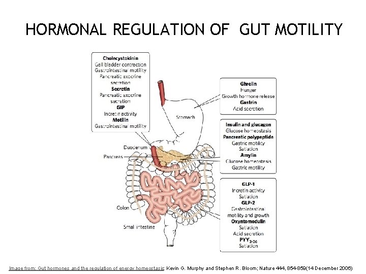 HORMONAL REGULATION OF GUT MOTILITY 43 Image from: Gut hormones and the regulation of