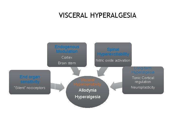 VISCERAL HYPERALGESIA Endogenous Modulation Cortex Brain stem Spinal Hyperexcitability Nitric oxide activation Long-term Hyperalgesia