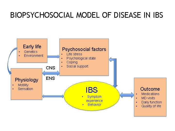 BIOPSYCHOSOCIAL MODEL OF DISEASE IN IBS Early life • • Psychosocial factors Genetics Environment