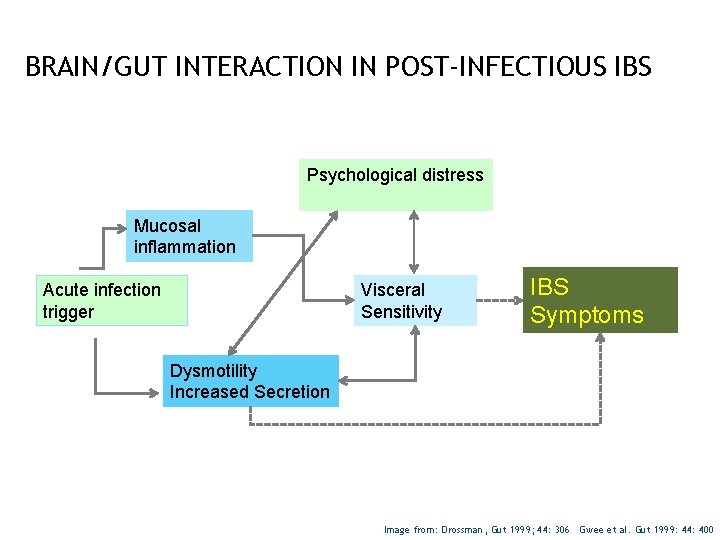 BRAIN/GUT INTERACTION IN POST-INFECTIOUS IBS Psychological distress Mucosal inflammation Visceral Sensitivity Acute infection trigger