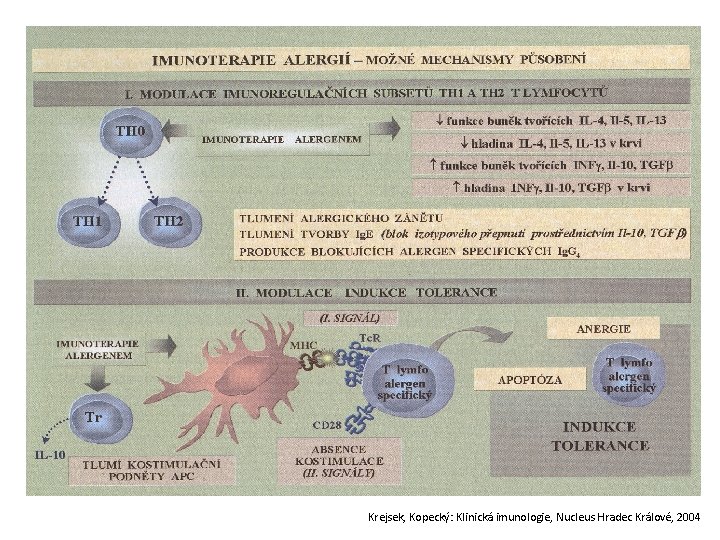 Krejsek, Kopecký: Klinická imunologie, Nucleus Hradec Králové, 2004 