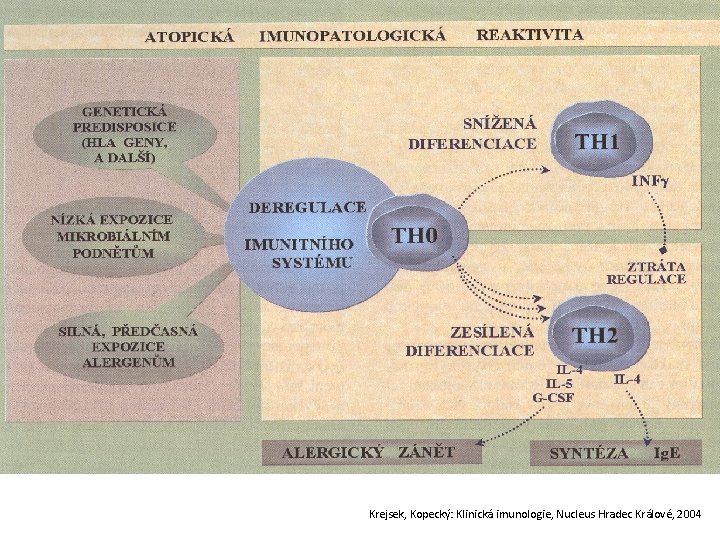 Krejsek, Kopecký: Klinická imunologie, Nucleus Hradec Králové, 2004 