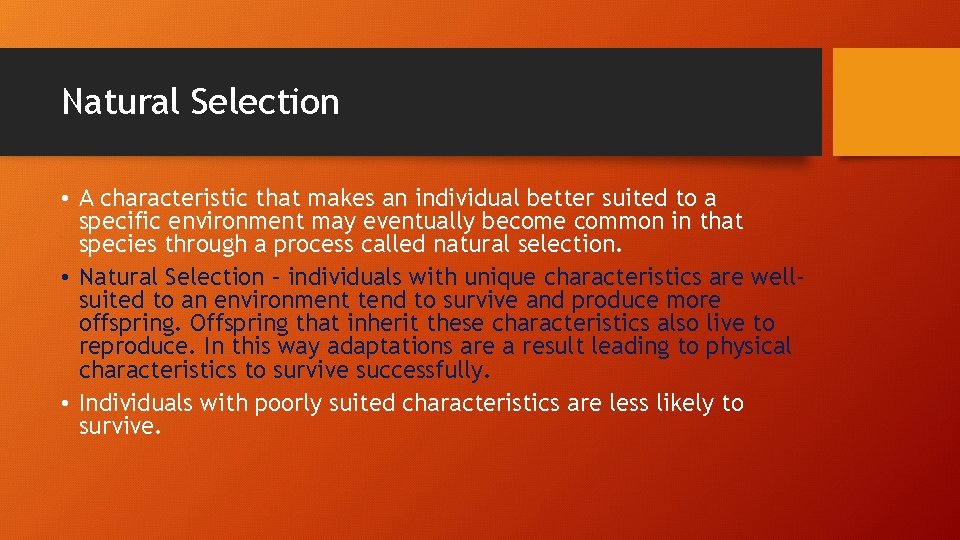 Natural Selection • A characteristic that makes an individual better suited to a specific
