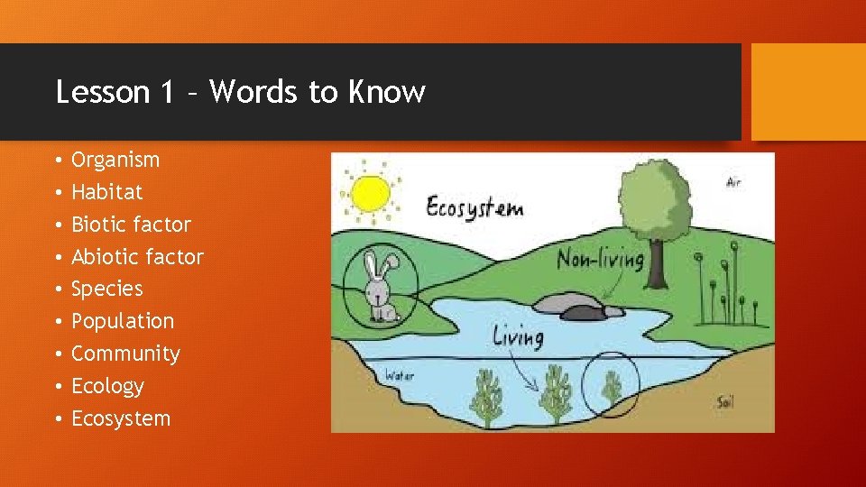 Lesson 1 – Words to Know • • • Organism Habitat Biotic factor Abiotic