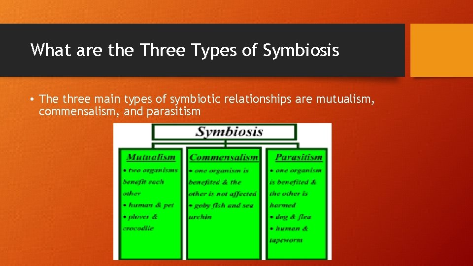 What are the Three Types of Symbiosis • The three main types of symbiotic