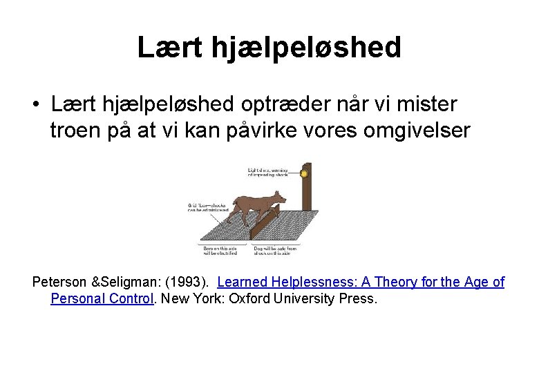 Lært hjælpeløshed • Lært hjælpeløshed optræder når vi mister troen på at vi kan