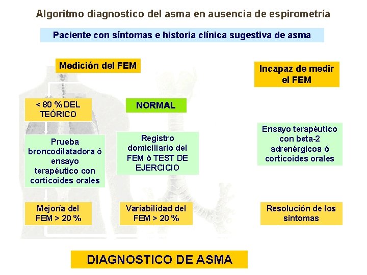 Algoritmo diagnostico del asma en ausencia de espirometría Paciente con síntomas e historia clínica
