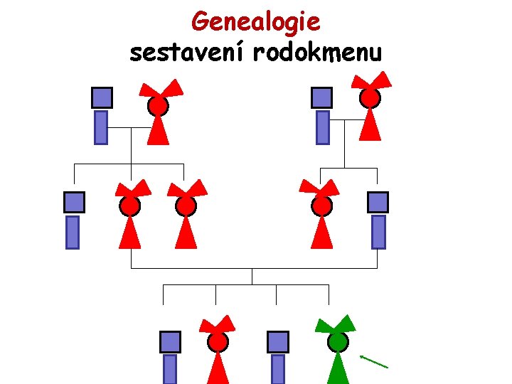 Genealogie sestavení rodokmenu 
