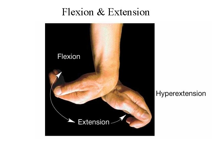 Flexion & Extension 