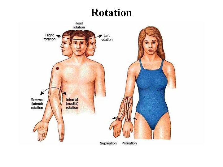 Rotation 