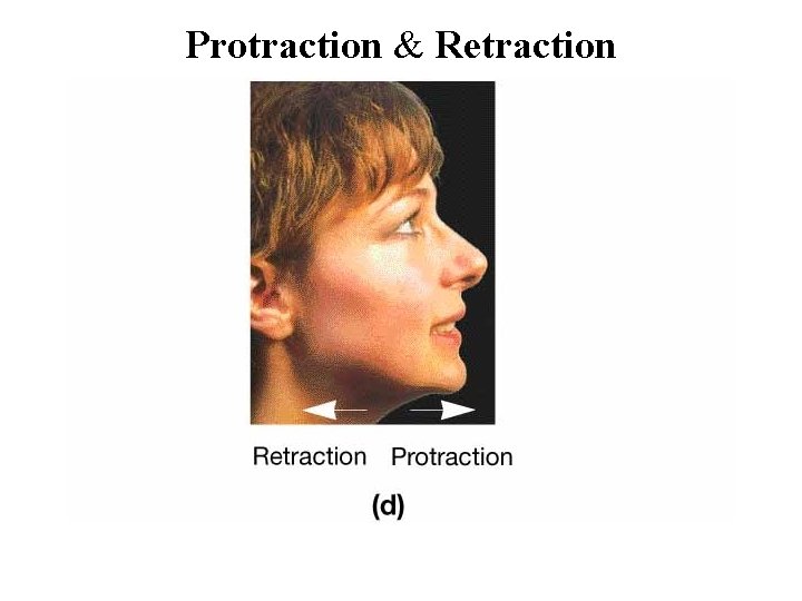 Protraction & Retraction 