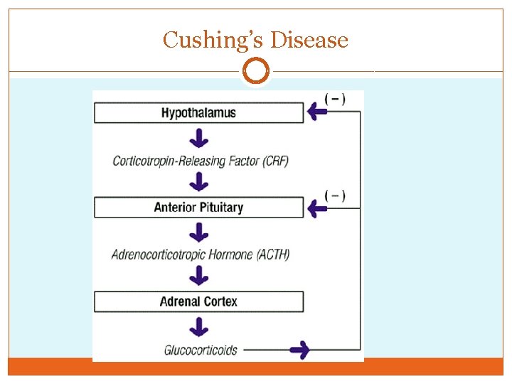 Cushing’s Disease 