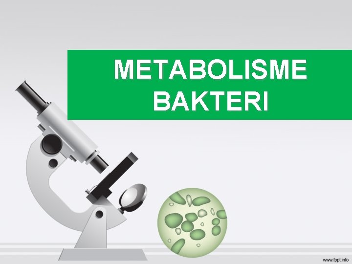 METABOLISME BAKTERI 