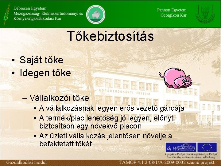 Tőkebiztosítás • Saját tőke • Idegen tőke – Vállalkozói tőke • A vállalkozásnak legyen