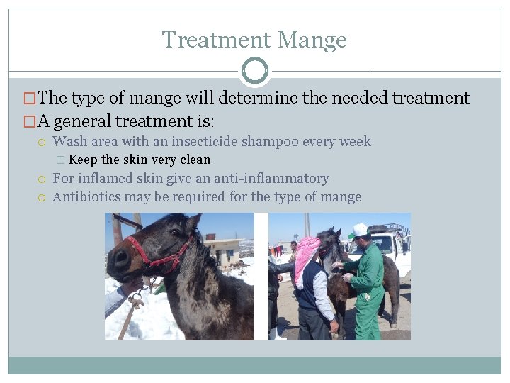 Treatment Mange �The type of mange will determine the needed treatment �A general treatment