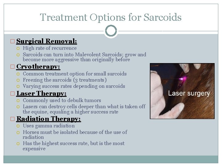Treatment Options for Sarcoids � Surgical Removal: High rate of recurrence Sarcoids can turn
