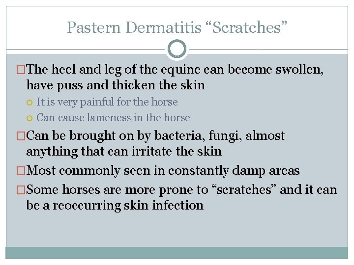 Equine Skin Diseases What is a Disease Definition