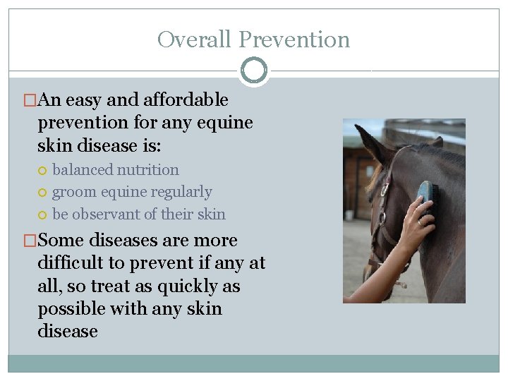 Overall Prevention �An easy and affordable prevention for any equine skin disease is: balanced