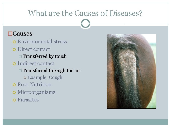 What are the Causes of Diseases? �Causes: Environmental stress Direct contact � Transferred by