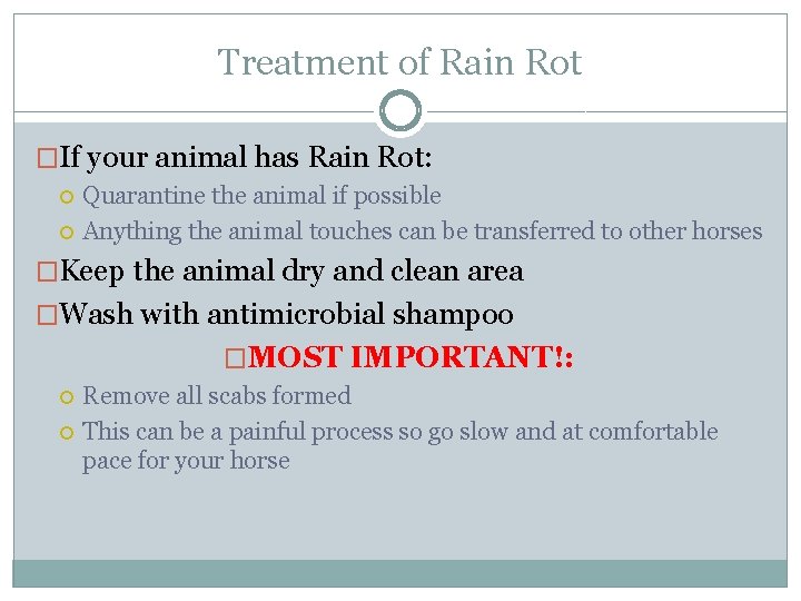 Treatment of Rain Rot �If your animal has Rain Rot: Quarantine the animal if