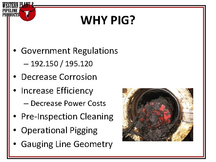 WHY PIG? • Government Regulations – 192. 150 / 195. 120 • Decrease Corrosion WHY PIG? • Government Regulations – 192. 150 / 195. 120 • Decrease Corrosion