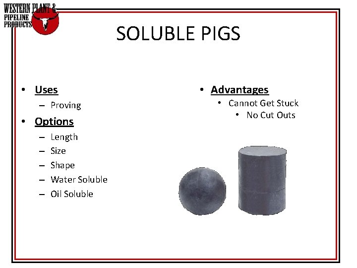 SOLUBLE PIGS • Uses – Proving • Options – – – Length Size Shape SOLUBLE PIGS • Uses – Proving • Options – – – Length Size Shape