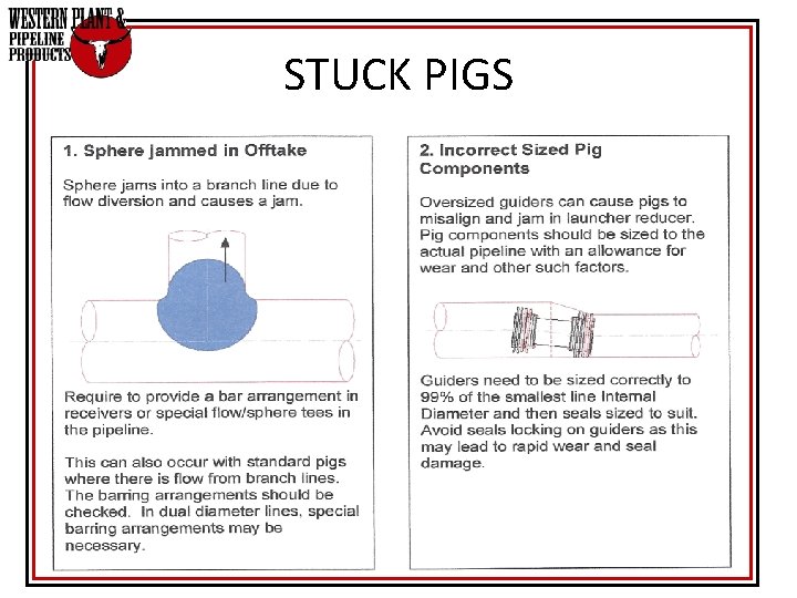 STUCK PIGS STUCK PIGS