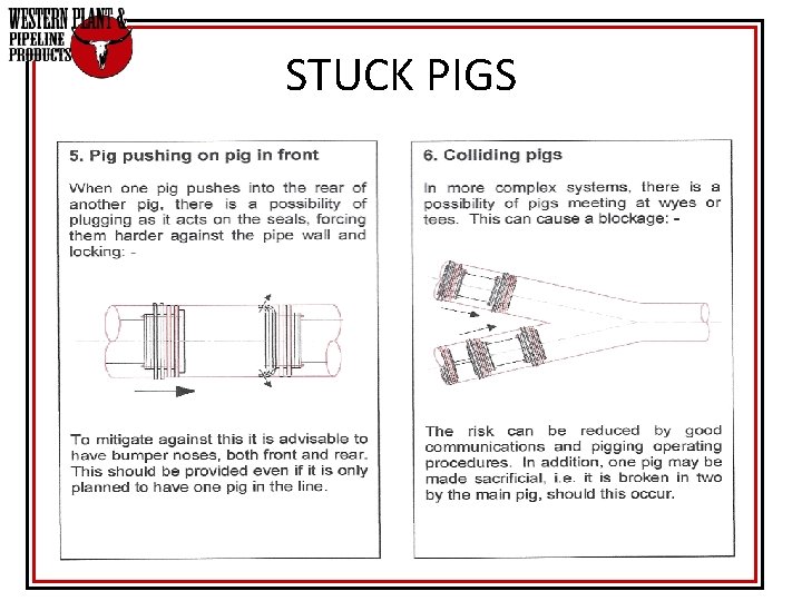 STUCK PIGS STUCK PIGS